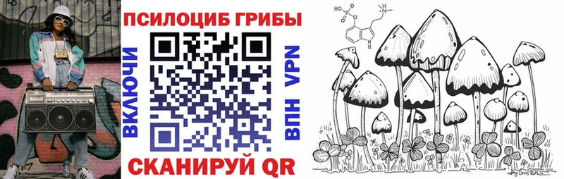Галлюциногенные грибы MAGIC MUSHROOMS  Купить закладки  Дубовка 